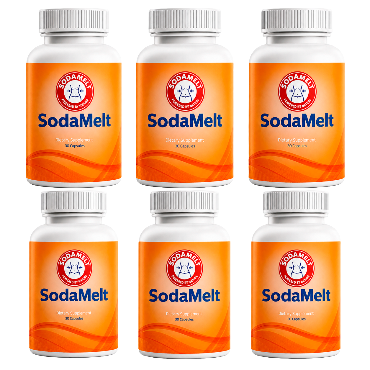 SodaMelt 6-bottle pack